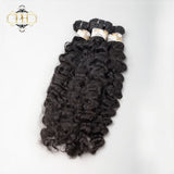 Burmese Curly Bundle Deal